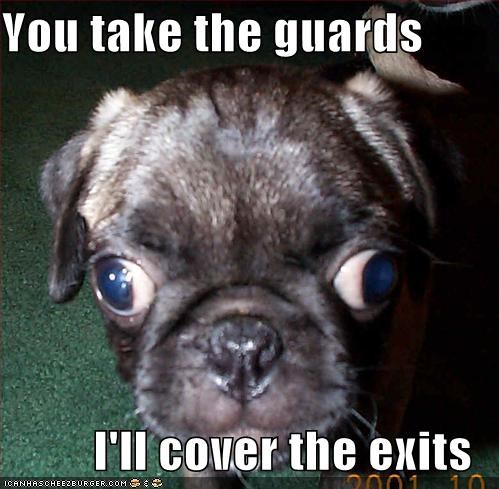You take the guards  I'll cover the exits