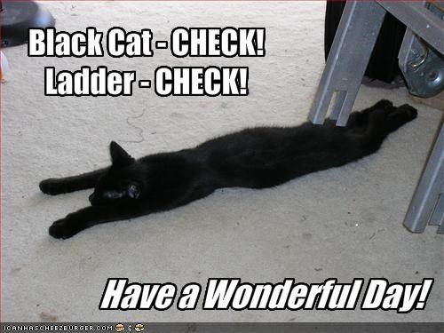 Black Cat - CHECK!Ladder - CHECK!