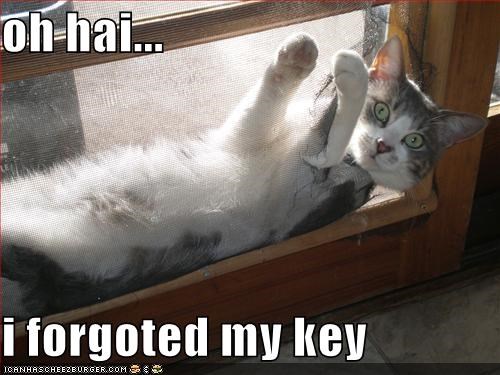 oh hai...  i forgoted my key