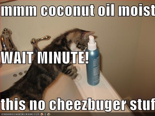 mmm coconut oil moistener WAIT MINUTE!  this no cheezbuger stuff