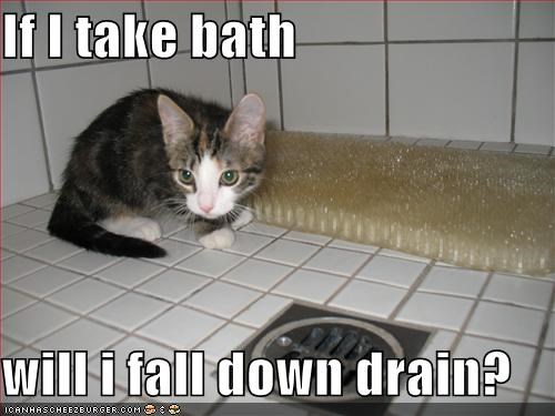 If I take bath  will i fall down drain?