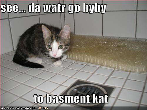 see... da watr go byby  to basment kat