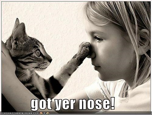 got yer nose!