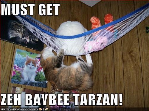 MUST GET  ZEH BAYBEE TARZAN!