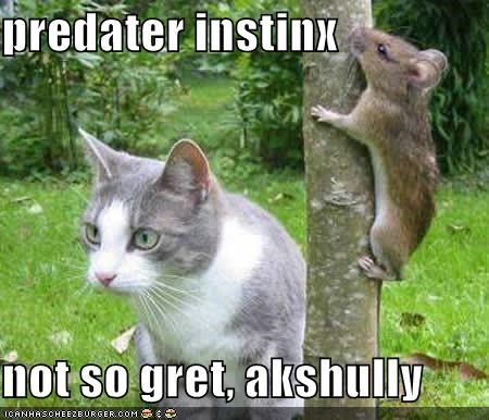 predater instinx  not so gret, akshully