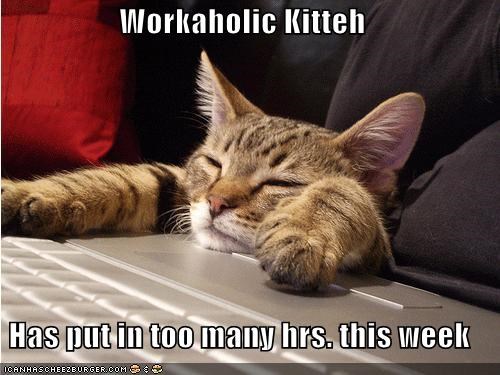 Workaholic Kitteh  Has put in too many hrs. this week