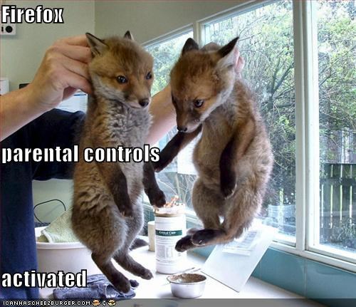 Firefox  parental controls activated