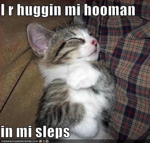 I r huggin mi hooman  in mi sleps