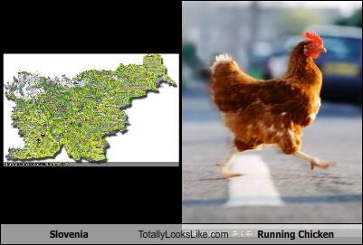 Slovenia Totally Looks Like Running Chicken
