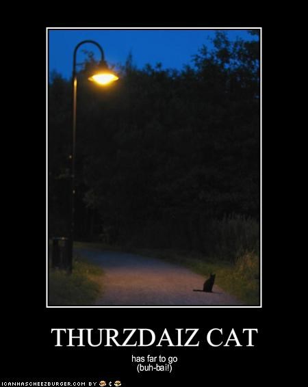 THURZDAIZ CAT