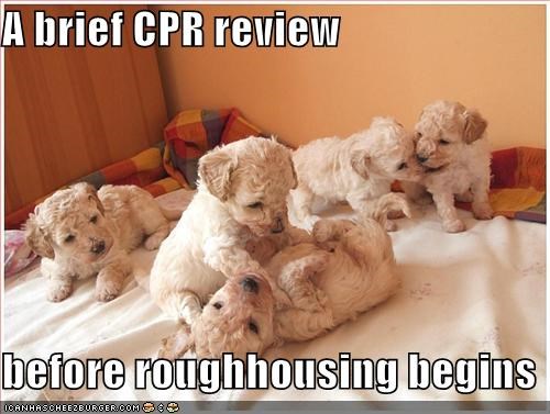 A brief CPR review  before roughhousing begins