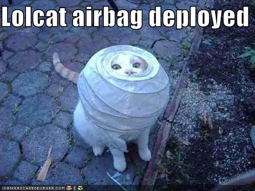 Lolcat airbag deployed