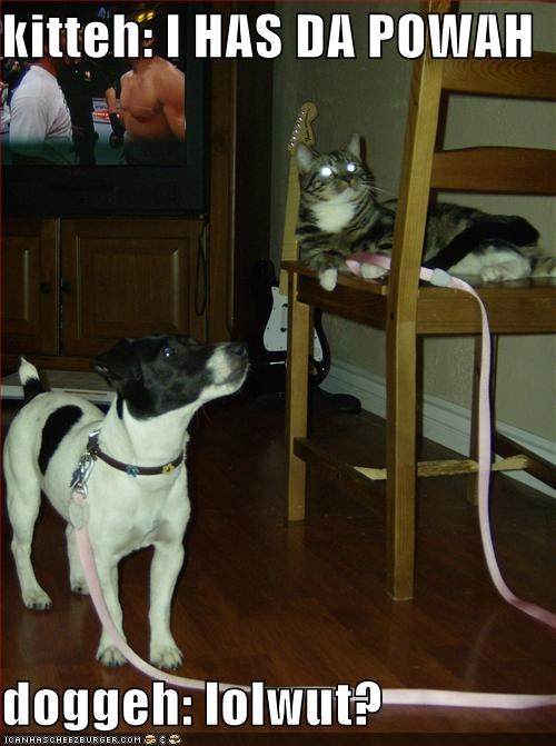 kitteh: I HAS DA POWAH  doggeh: lolwut?