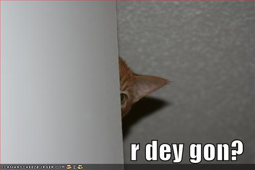 r dey gon?