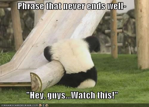 Phrase that never ends well-  "Hey, guys...Watch this!"