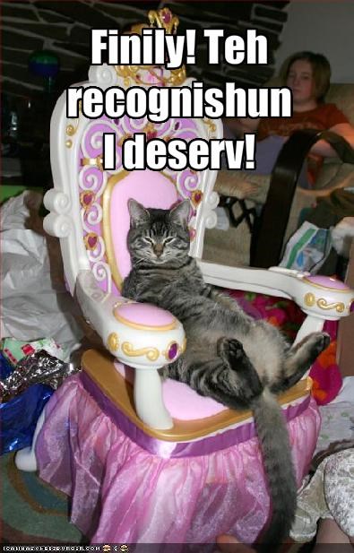 Finily! Teh recognishun I deserv!