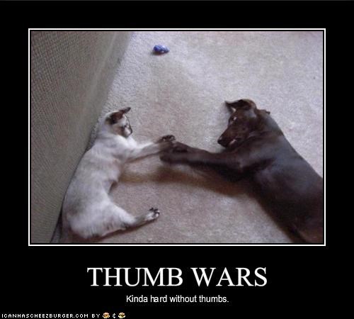 THUMB WARS