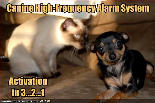Canine High-Frequency Alarm System