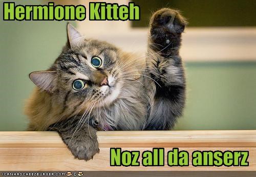 Hermione Kitteh