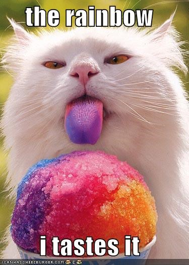 the rainbow  i tastes it