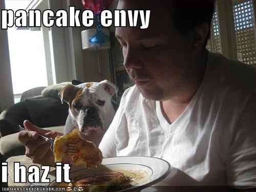 pancake envy  i haz it