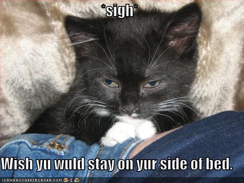 *sigh*  Wish yu wuld stay on yur side of bed.