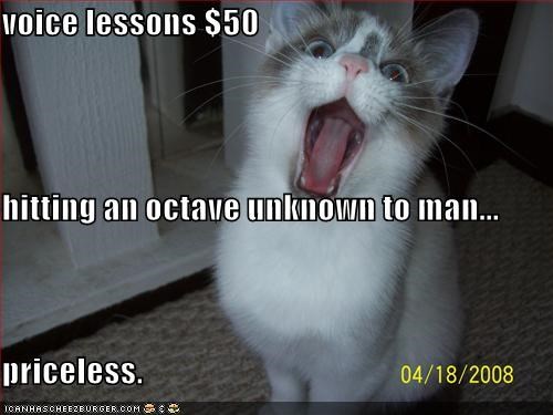 voice lessons $50 hitting an octave unknown to man... priceless.