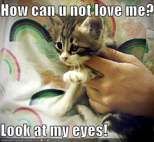 How can u not love me?  Look at my eyes!