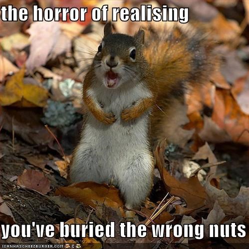 the horror of realising  you've buried the wrong nuts