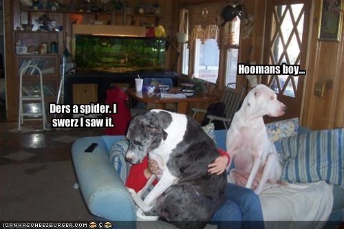 Ders a spider. I swerz I saw it.
