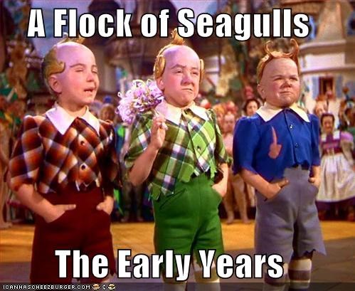A Flock of Seagulls  The Early Years