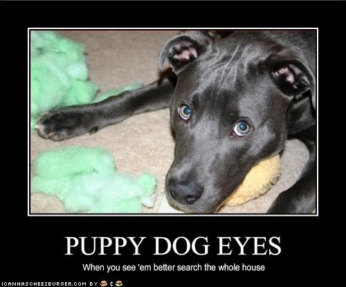PUPPY DOG EYES