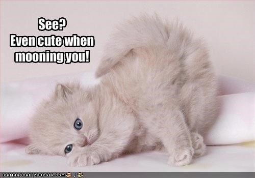 See?Even cute when mooning you!