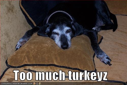 Too much turkeyz