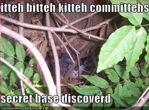 itteh bitteh kitteh committehs  secret base discoverd
