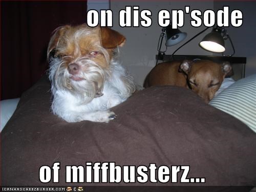 on dis ep'sode  of miffbusterz...