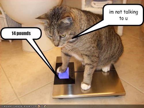 14 pounds