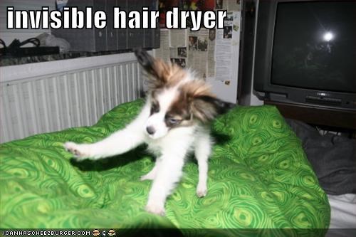 invisible hair dryer