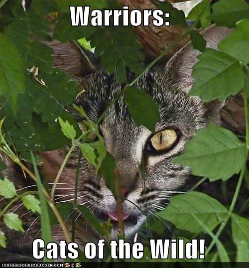 Warriors:  Cats of the Wild!