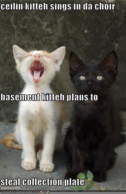ceilin kitteh sings in da choir basement kitteh plans to steal collection plate