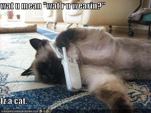 wat u mean "wat r u wearin?"  Iz a cat.