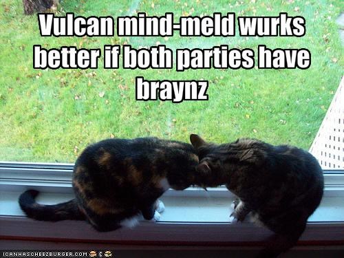 Vulcan mind-meld wurks better if both parties have braynz