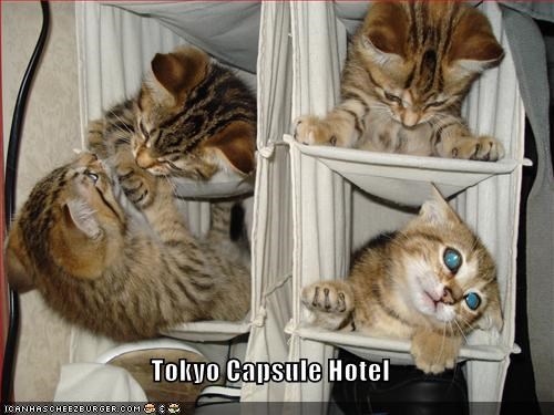 Tokyo Capsule Hotel