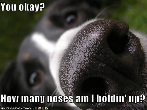 You okay?  How many noses am I holdin' up?