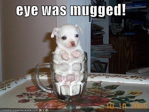 eye was mugged!