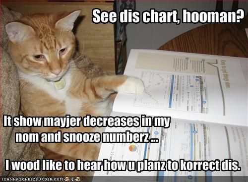 See dis chart, hooman?