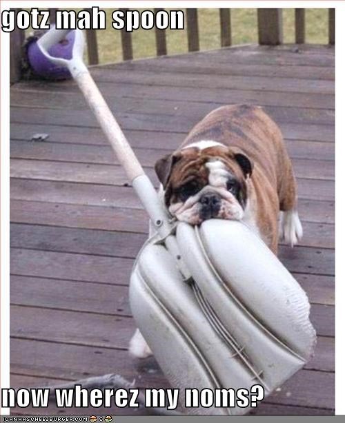 gotz mah spoon  now wherez my noms?