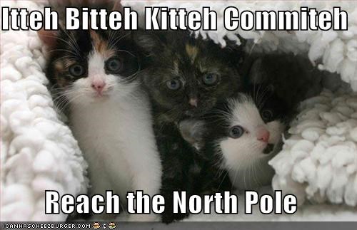 Itteh Bitteh Kitteh Commiteh  Reach the North Pole