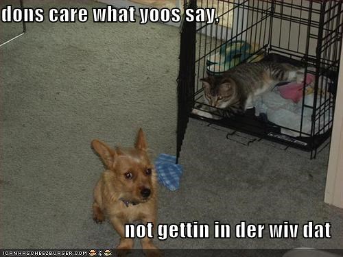 dons care what yoos say,  not gettin in der wiv dat