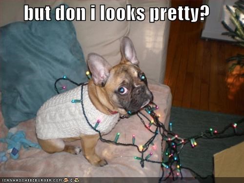 but don i looks pretty?